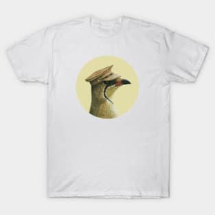 Black-winged pratincole T-Shirt